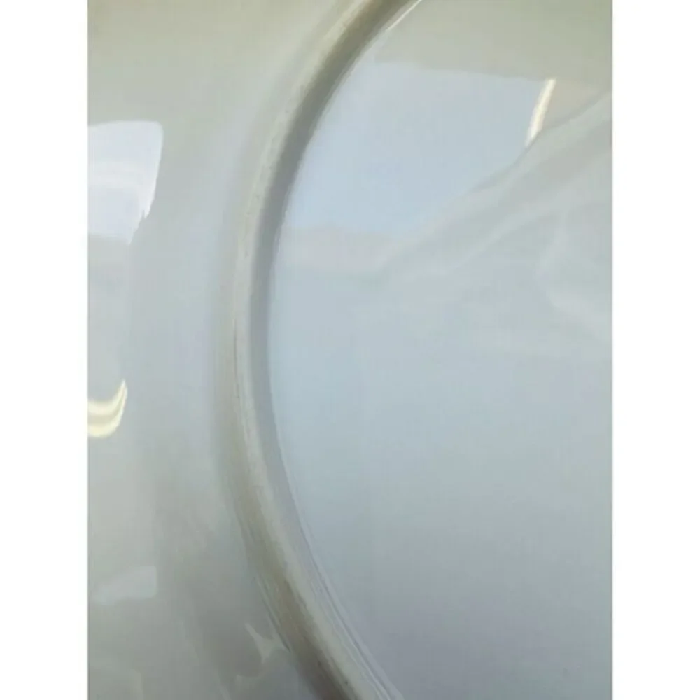Vintage Wade Fine China Diane‎ Japan 10.25